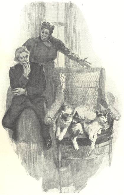 “‘Look at that pile of cats in your chair’”