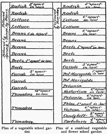 Plan of a vegetable school garden Plan of a combined vegetable and flower school garden