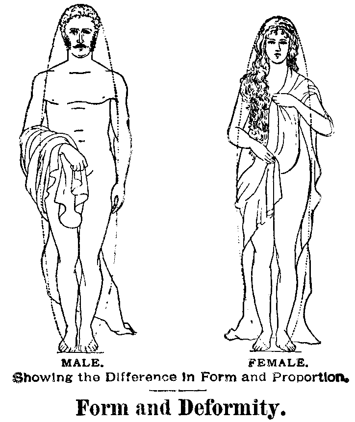 MALE and FEMALE. Showing the Difference in Form and Proportion