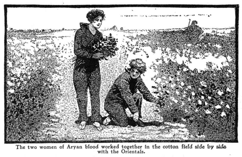 The Two Women of Aryan Blood Worked Together in The Cotton Field Side by Side With the Orientals. 