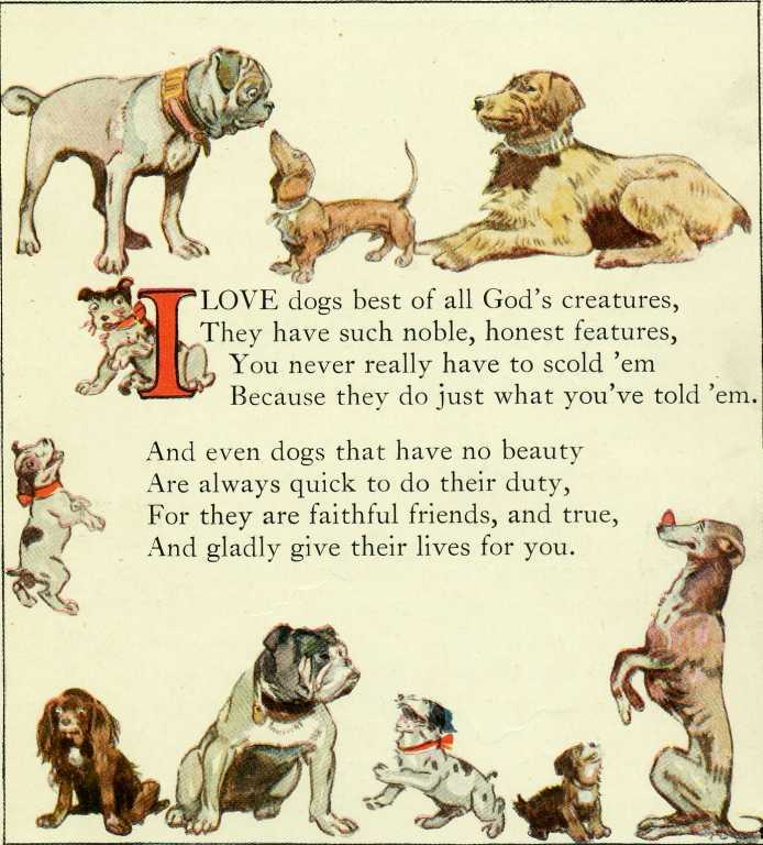 Dogs Poem