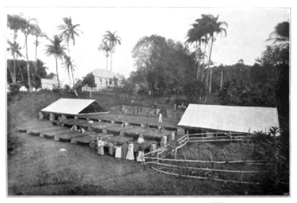 Grenada, B.W.I.: Samaritan Estate  (Showing trays which slide on rails; the iron covers slide over the whole in case of wet.)