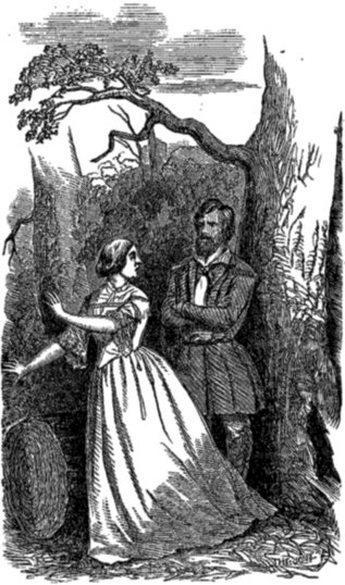 "Looking up, she saw a tall, dark man standing before her, his eye bent upon hers with a look that sent the blood to her heart."—See page 36.