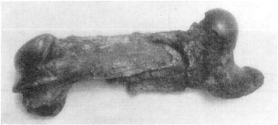 Fig. 46—Oblique fracture of the femur of a 1,500 six-year-old draft horse. Showing shortening of bone, owing to a lateral approximation of the diaphysis because of muscular contraction. Photo by Dr. Edward Merillat.