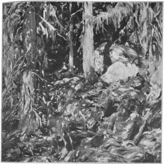 Plate 21.—Sargent. "The Hermit." In the Metropolitan Museum of Art.