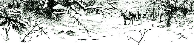 RURAL SCENE, CHAPTER HEADER.