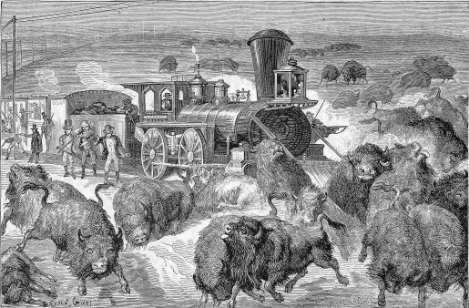 SLAUGHTER OF BUFFALO ON THE KANSAS PACIFIC RAILROAD.