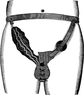 figure as described in caption