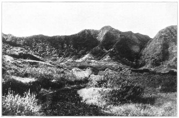 View at the Head of Manoa Valley, Oahu.