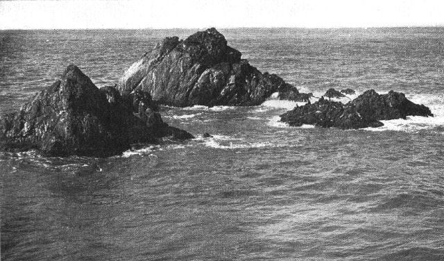 Seal Rocks near San Francisco, California, showing slight effect of waves where there is no beach.