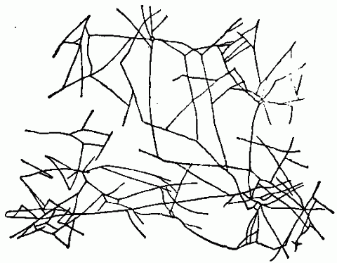 Fig. 11—Fibrin threads (after Ranvier). These by contracting draw the corpuscles together and form the clot. Fig. 11