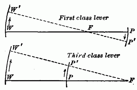 Fig. 116—Motion producing levers. Diagrams show relative distances moved by the power and weight in levers having the power nearer the fulcrum than is the weight. F. Fulcrum. P, P'. Power. W, W'. Weight. Fig. 116