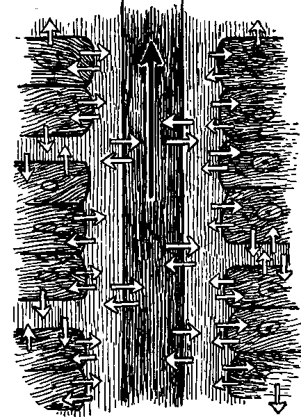 Fig. 27—Diagram showing position of the lymph with reference to the blood and the cells. The central tube is a capillary. The arrows indicate the direction of slight movements in the lymph. Fig. 27