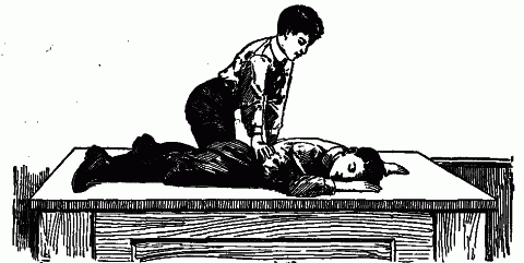 Fig. 47—Artificial respiration as a laboratory experiment. Expiration. Prone-posture method of Schaffer. Fig. 47