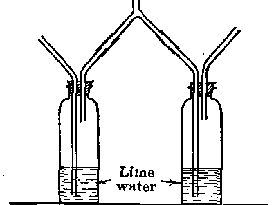 Fig. 50—Apparatus for showing changes which air undergoes while in the lungs. Fig. 50