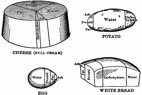 Fig. 61—Relative proportions of different nutrients in well-known foods. Fig. 61