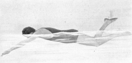 FIGURE 27