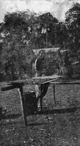 DRYING CACAO BEANS AT MRAMRA. Reproduced by permission from the Imperial Institute series of Handbooks to the Commercial Resources of the Tropics.