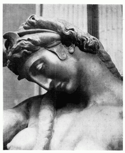 THE HEAD OF THE NIGHT Image #40