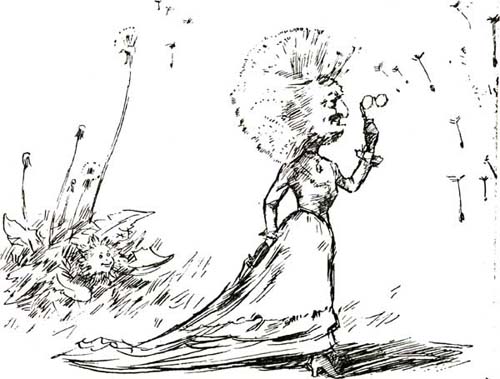 THE DANDELION THE DANDELION
