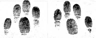 FINGER-PRINTS OF TWINS