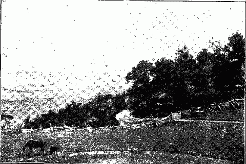 MOUNTAIN VIEW, BLOWING ROCK, N. C. Illustration: MOUNTAIN VIEW, BLOWING ROCK, N. C.