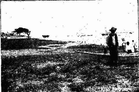 SCENE IN BEAUFORT, N. C. Illustration: SCENE IN BEAUFORT, N. C.