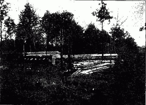 THE LOWELL CHURCH RUINS. Illustration: THE LOWELL CHURCH RUINS.