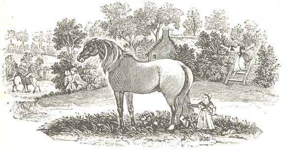 Tailpiece.  From the same.  Engraved, after T. Bewick, by John Jackson