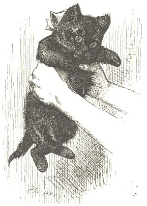 Black Kitten.  From “Through the Looking-Glass,” 1871.  Drawn by John Tenniel; engraved by Dalziel Brothers