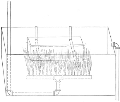 Fig. 80