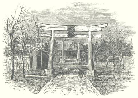 Torii