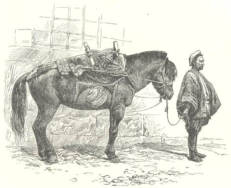 Japanese Pack-Horse