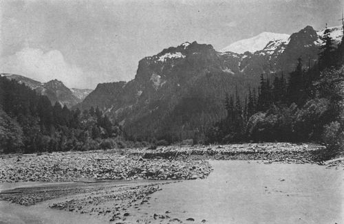 Carbon River below its Gorge, and Mother Mountains.