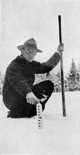 FOREST RANGER IN IDAHO.