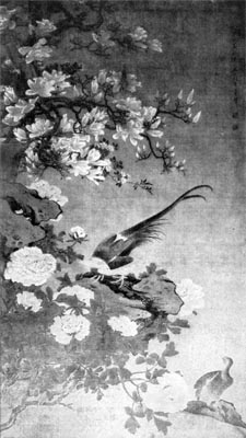Plate XXIV