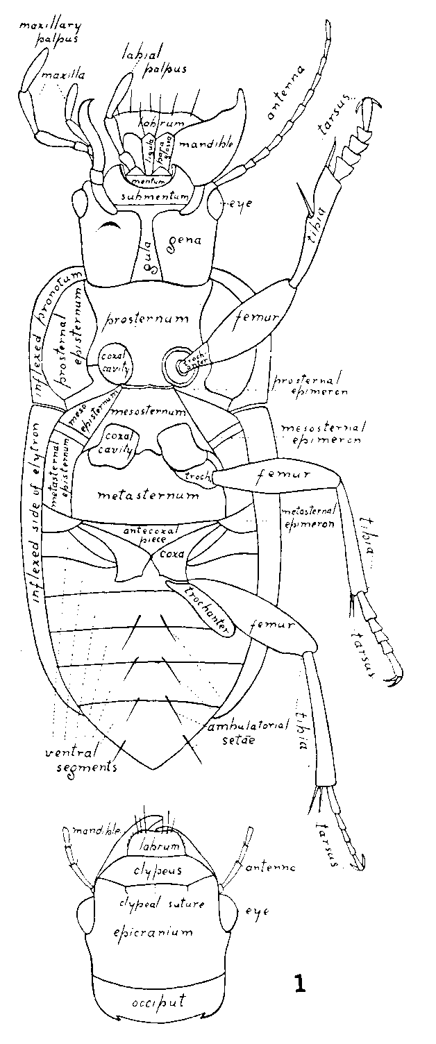 Image16