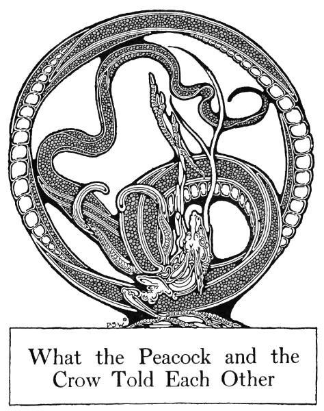 What the Peacock and the Crow Told Each Other