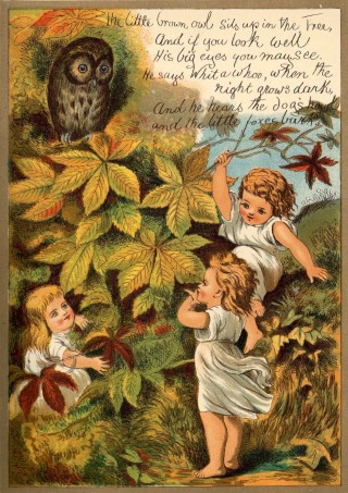 The little brown owl sits up in the Tree, / And if you look well / His big eyes you may see. / He says Whit a whoo, when the night grows dark, / And he hears the dogs and the little foxes bark.