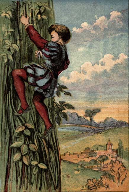 JACK CLIMBS THE BEAN-STALK.