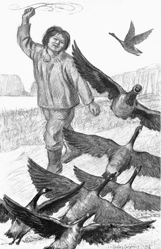 THE ALEUT BOY LAUNCHED HIS MISSILE INTO THE MASS OF FLYING FOWL