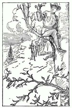 The Mirror Was Shot From Hal's Hand.