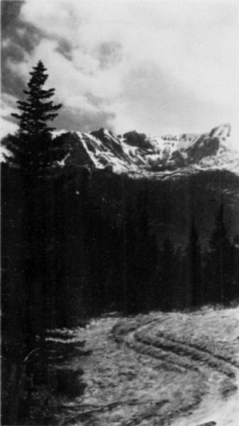 A track running past a forest, snow-capped mountains in the distance