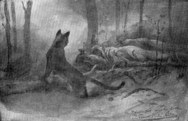 XXXVII. The Mountain Lion sneaking around us as we sleep  Sketch by E. T. Seton