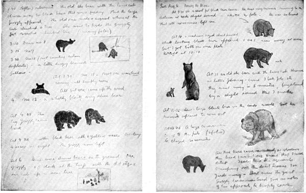 XXXIX. Two pages from my journal in the garbage heap  By E. T. Seton