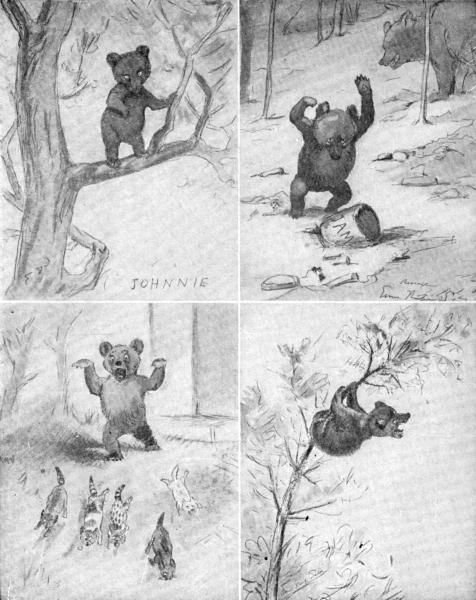 XLVII. Johnnie Bear: his sins and his troubles  Sketches by E. T. Seton