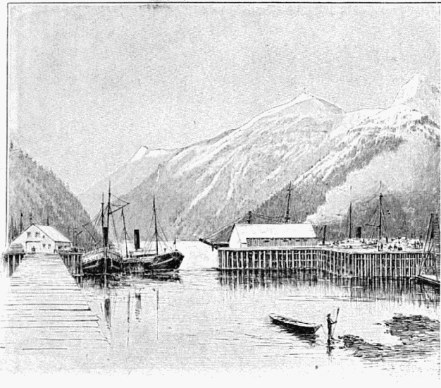 VUE DE SKAGWAY.—DESSIN DE TAYLOR, D'APRÈS LE CROQUIS DE L'AUTEUR.