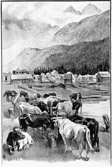 UN CONVOI DE BÉTAIL DANS LA GRANDE RUE DE SKAGWAY. DESSIN DE MADAME PAULE CRAMPEL, D'APRÈS UN CROQUIS DE L'AUTEUR.