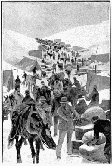 LE SOMMET DU WHITE PASS.—DESSIN D'A. PARIS, D'APRÈS LA PHOTOGRAPHIE DE M. GOLDSCHMIDT.