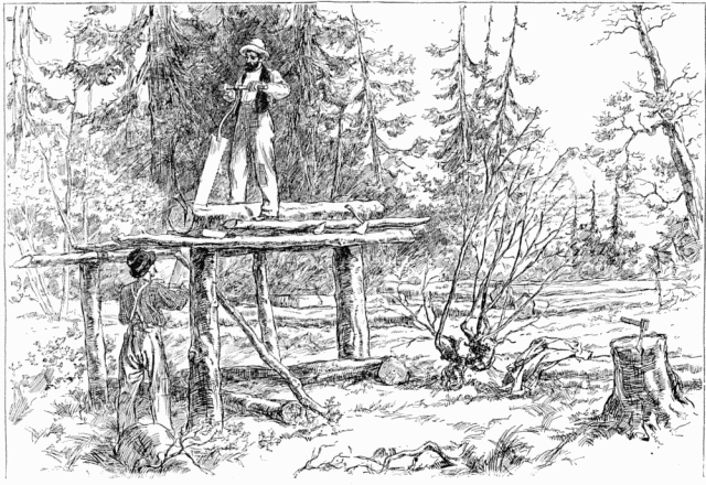 LE SCIAGE DES PLANCHES À CARIBOU CROSSING.—DESSIN DE VOGEL, D'APRÈS LE CROQUIS DE L'AUTEUR.